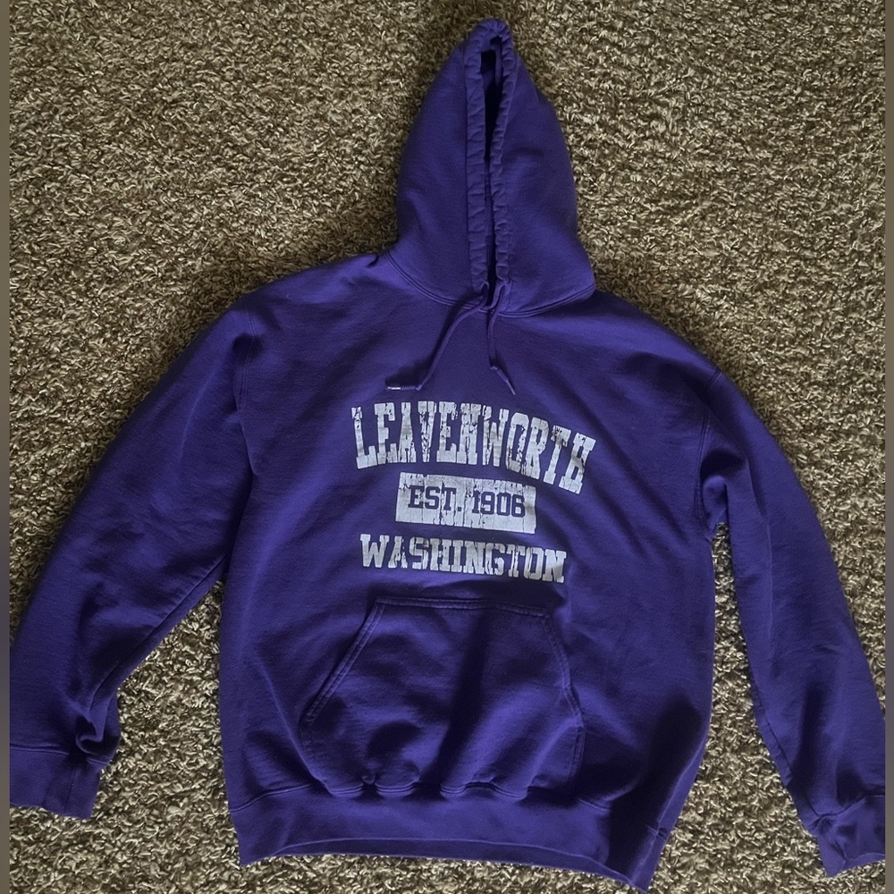 Washington Purple Hoodie